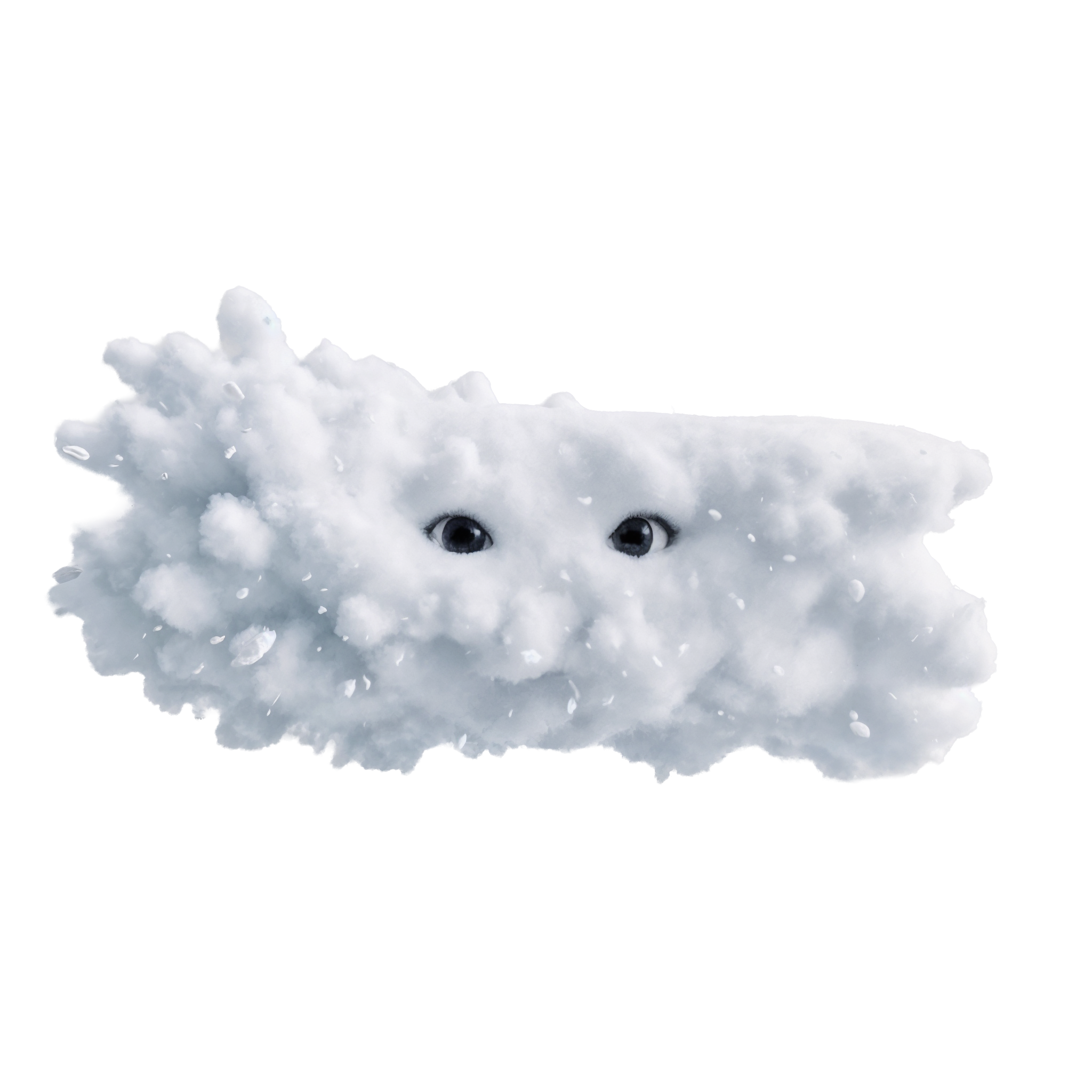 Arctic Wolf