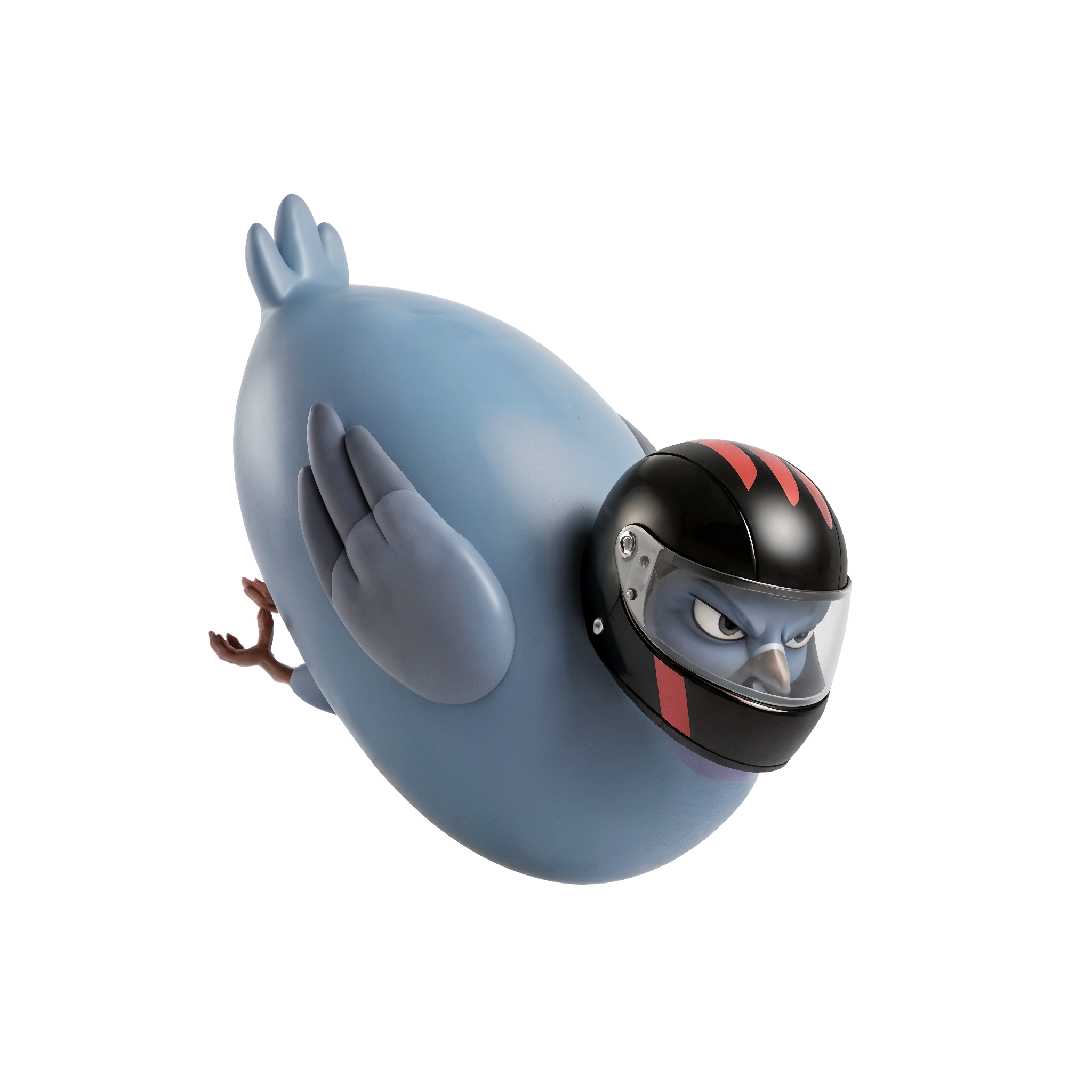 Racing Pigeon